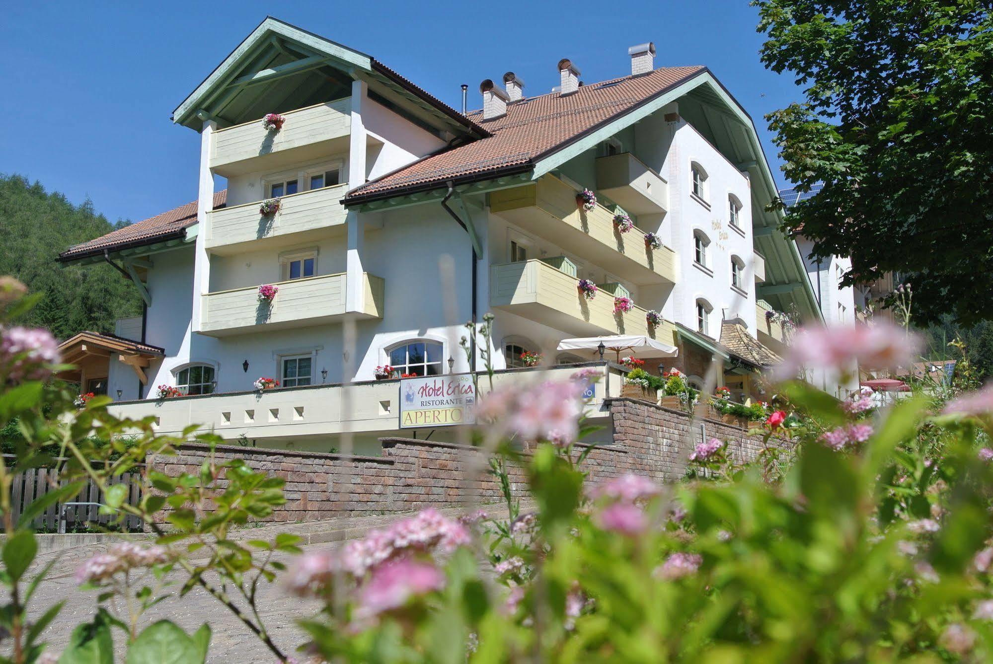 Hotel Erica Tesero Luaran gambar